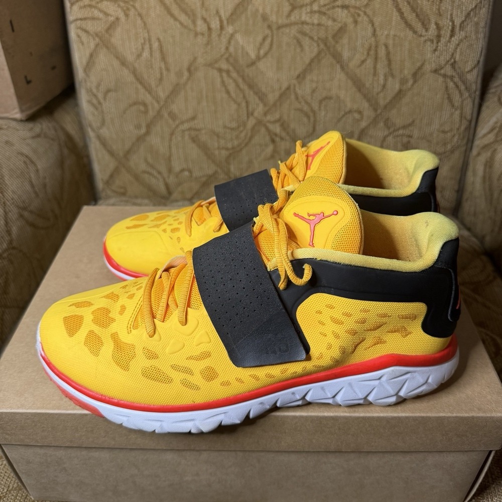 Nike Jordan Flight Flex Trainer 2 Goat Men's Size 10 Kick-screw 768911-803